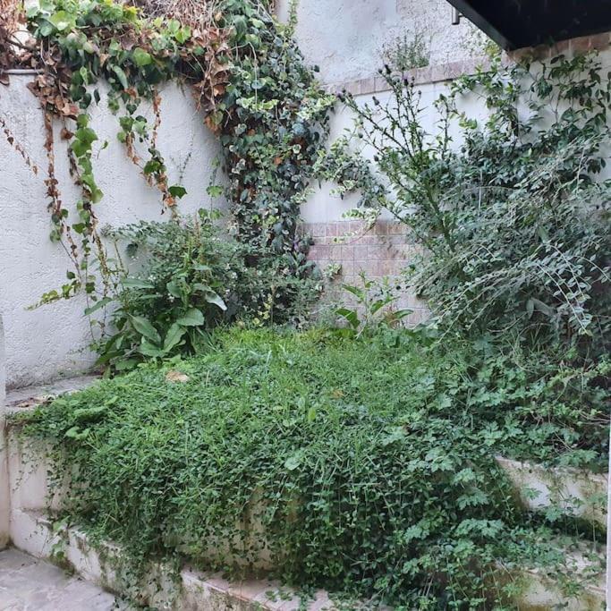 Rêveries maritimes Marseille Extérieur photo